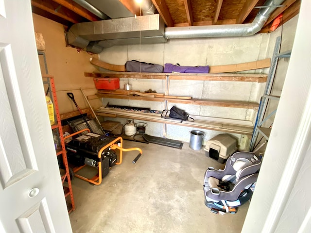 3561 Barber Rd, Hastings, MI 49058 - view of storage area