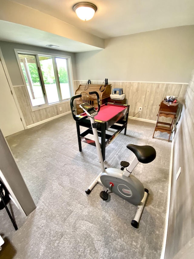 3561 Barber Rd, Hastings, MI 49058 - game room with wainscoting, wooden walls, carpet flooring, and baseboards
