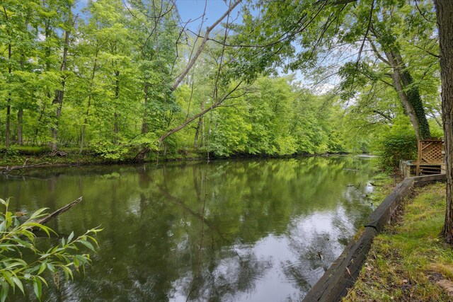 6780 Packer Dr NE, Belmont, MI 49306 - water view with a heavily wooded area