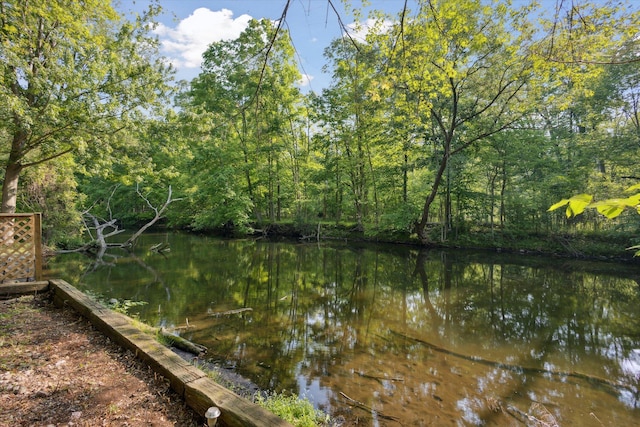 6780 Packer Dr NE, Belmont, MI 49306 - water view with a heavily wooded area