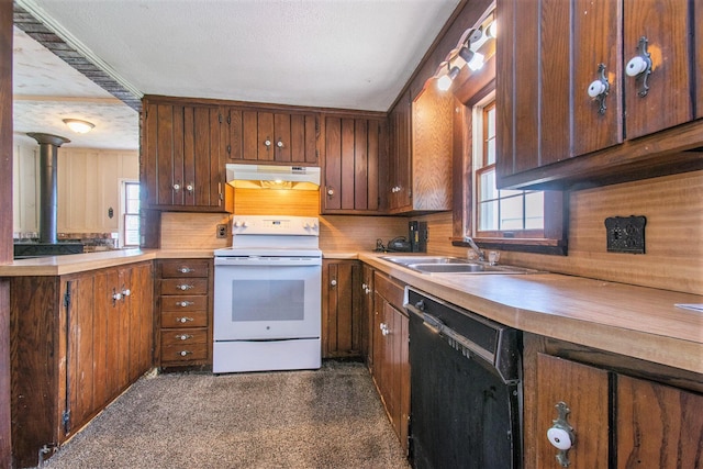 66546 Birch Rd, Jones, MI 49061 - kitchen featuring electric range, dishwasher, under cabinet range hood, a sink, and light countertops