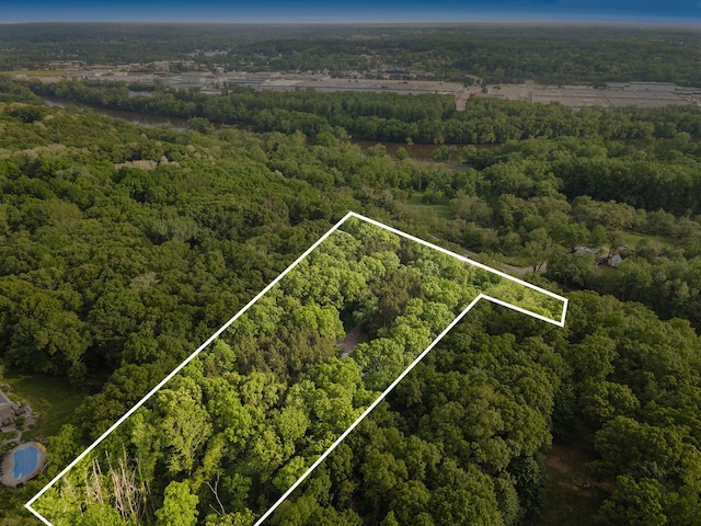 240 Pettis Ave NE, Ada, MI 49301 - aerial overview of property's location featuring a heavily wooded area and property parcel outlined