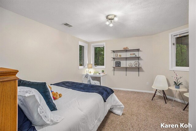 240 Pettis Ave NE, Ada, MI 49301 - carpeted bedroom featuring baseboards and a textured ceiling