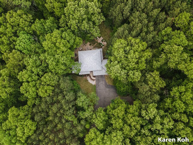 240 Pettis Ave NE, Ada, MI 49301 - aerial view of property's location