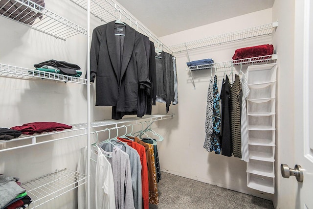 5923 E Lyn Haven Dr SE Unit 45, Grand Rapids, MI 49512 - view of spacious closet