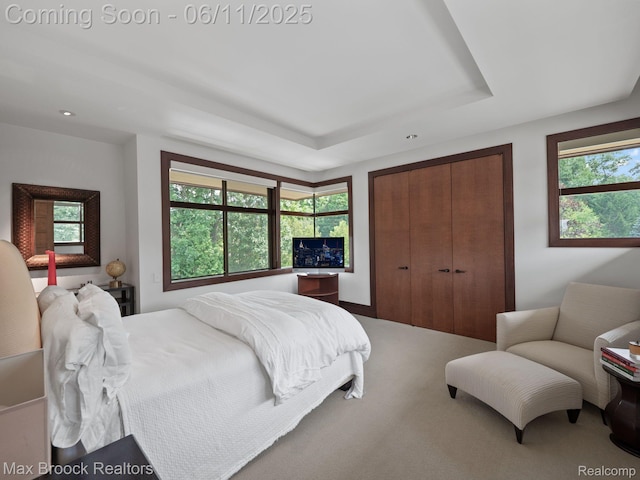 4790 Dow Ridge Rd, Orchard Lake, MI 48324 - carpeted bedroom with a raised ceiling, a closet, and recessed lighting