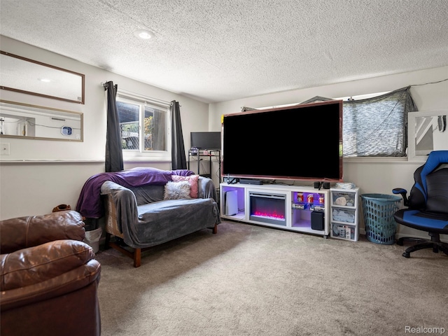 9636 Mueller St, Taylor, MI 48180 - carpeted living area featuring a textured ceiling