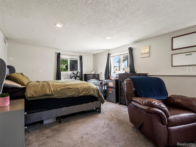 9636 Mueller St, Taylor, MI 48180 - carpeted bedroom with a textured ceiling, multiple windows, and recessed lighting