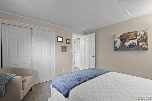 311 Marion St, Clinton, MI 49236 - carpeted bedroom featuring a closet