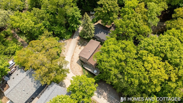 2338 Crescent Walk, Macatawa, MI 49434 - drone / aerial view