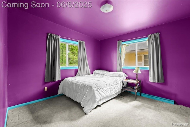 219 Beaver St, Brighton, MI 48116 - bedroom featuring carpet and baseboards