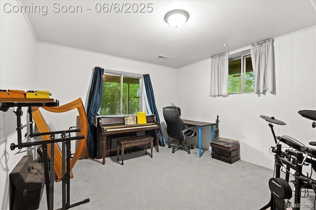 219 Beaver St, Brighton, MI 48116 - carpeted office space with crown molding