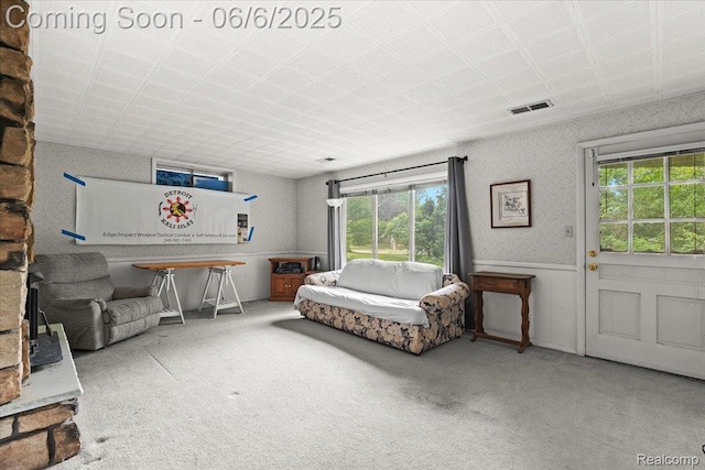 219 Beaver St, Brighton, MI 48116 - bedroom featuring carpet floors and a wainscoted wall