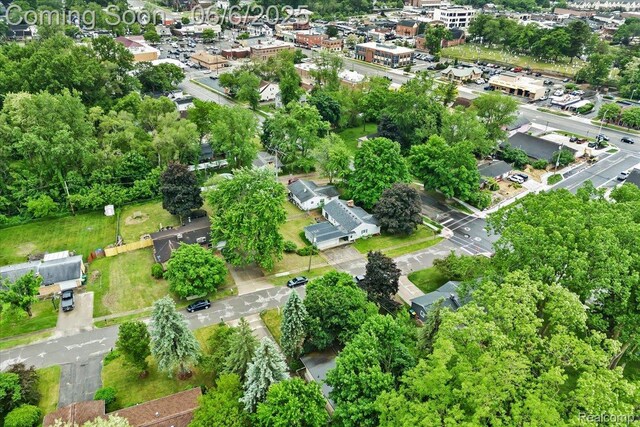 219 Beaver St, Brighton, MI 48116 - view of property location