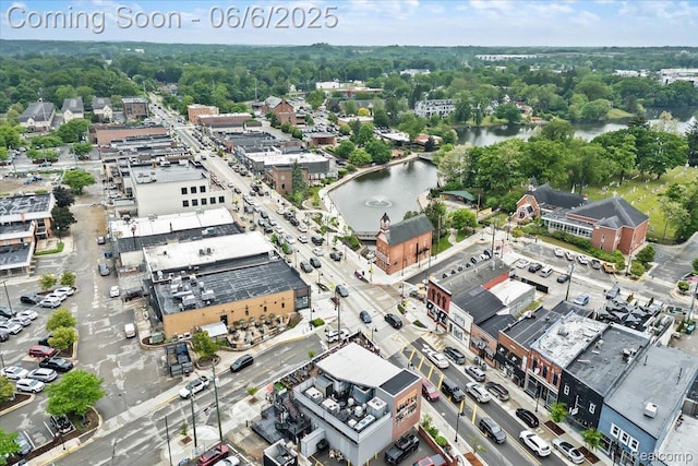 219 Beaver St, Brighton, MI 48116 - aerial view of a nearby body of water