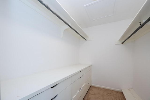 2310 Riverbend Dr, Benton Harbor, MI 49022 - walk in closet with light colored carpet and attic access