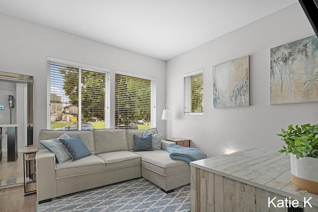 600 Douglas Ave NW Unit 612A, Grand Rapids, MI 49504 - living area with wood finished floors
