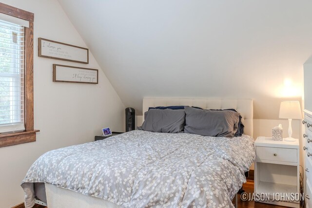 1836 Silver Ave SE, Grand Rapids, MI 49507 - bedroom featuring lofted ceiling and dark wood-style flooring