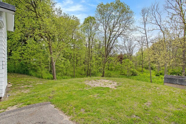 22121 Bedford Rd N, Battle Creek, MI 49017 - photo 35