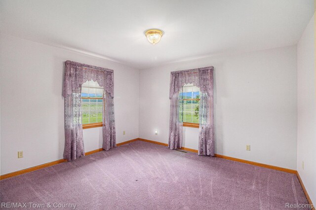 12070 Elms Rd, Birch Run, MI 48415 - photo 24