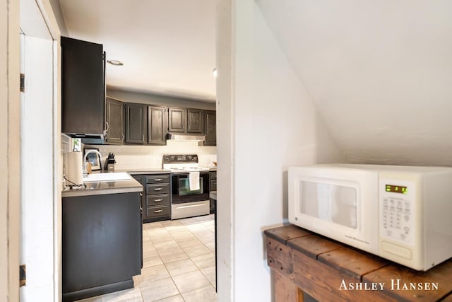 12577 Redmond Ave NE, Cedar Springs, MI 49319 - kitchen featuring electric range oven, white microwave, a sink, under cabinet range hood, and light countertops