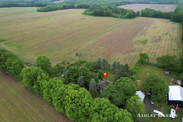 12577 Redmond Ave NE, Cedar Springs, MI 49319 - view of rural area with farmland