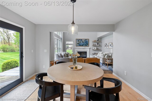 9840 Oak Valley Dr, Clarkston, MI 48348 - dining area featuring plenty of natural light, light wood finished floors, a glass covered fireplace, and baseboards