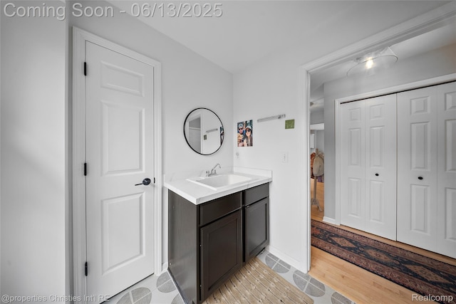 9840 Oak Valley Dr, Clarkston, MI 48348 - bathroom featuring vanity and a closet