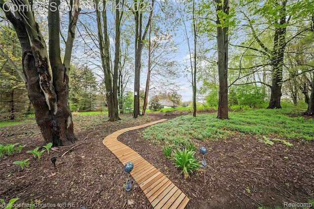 9840 Oak Valley Dr, Clarkston, MI 48348 - view of yard