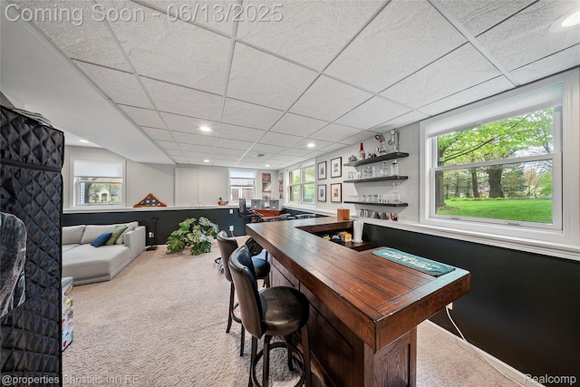 9840 Oak Valley Dr, Clarkston, MI 48348 - indoor dry bar with carpet floors, a paneled ceiling, and recessed lighting