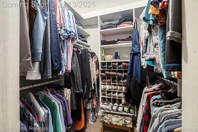 4057 Cypress Dr, Troy, MI 48085 - walk in closet with carpet flooring