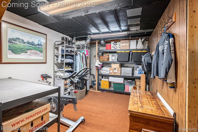 4057 Cypress Dr, Troy, MI 48085 - view of storage room
