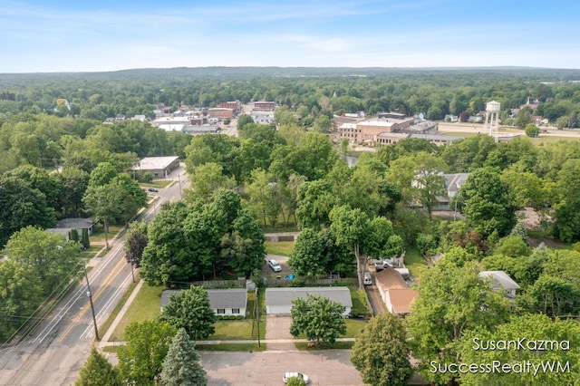 111 W 1st Ave, Plainwell, MI 49080 - aerial view of a forest