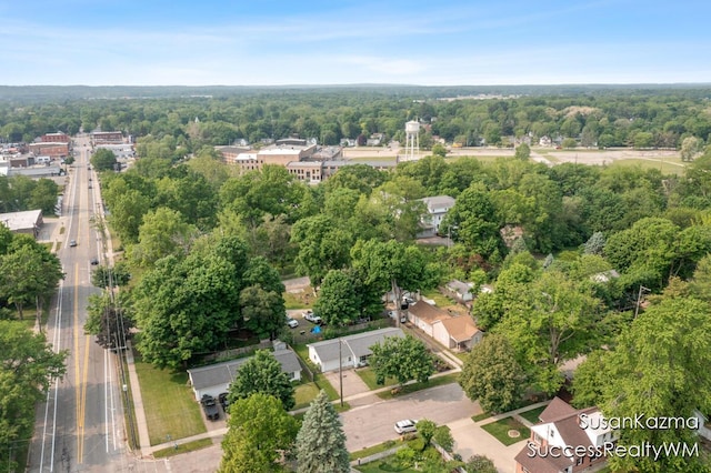 111 W 1st Ave, Plainwell, MI 49080 - aerial view of property and surrounding area featuring a heavily wooded area