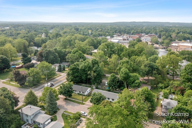 111 W 1st Ave, Plainwell, MI 49080 - drone / aerial view of a heavily wooded area