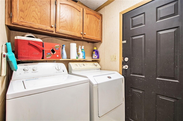 6727 Youngren Rd, Three Oaks, MI 49128 - washroom with washer and clothes dryer, ornamental molding, and cabinet space