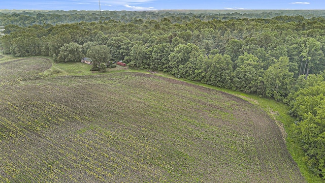 6727 Youngren Rd, Three Oaks, MI 49128 - bird's eye view of a forest