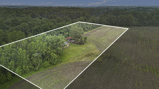 6727 Youngren Rd, Three Oaks, MI 49128 - aerial view of sparsely populated area with a heavily wooded area and property parcel outlined