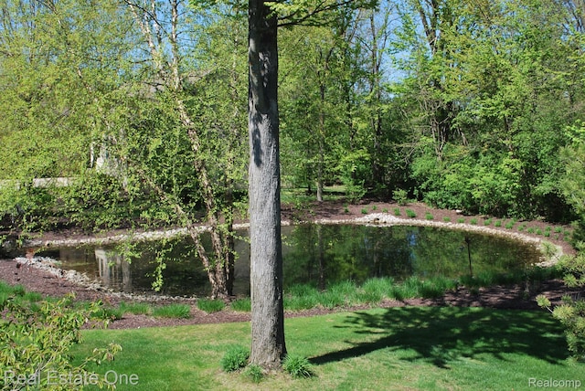 25364 Sutton Ct, Novi, MI 48374 - photo 47