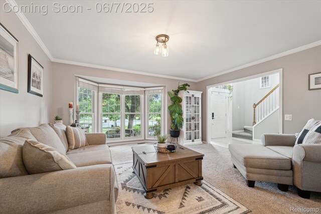 3753 Rolling Hills Rd, Lake Orion, MI 48359 - living room with ornamental molding, carpet floors, stairs, and baseboards