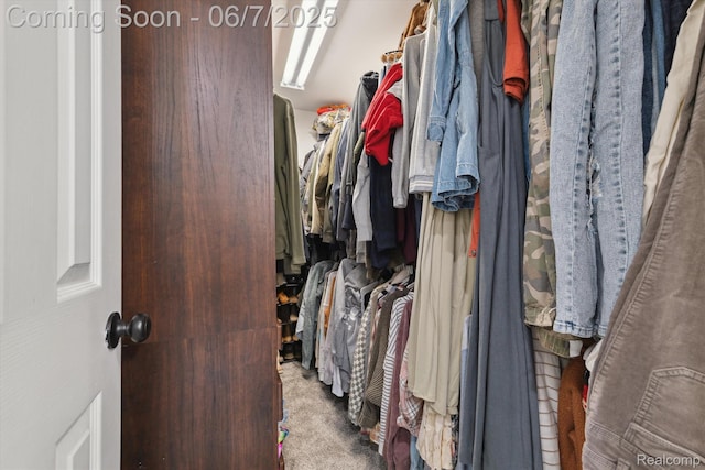 3753 Rolling Hills Rd, Lake Orion, MI 48359 - walk in closet with carpet floors