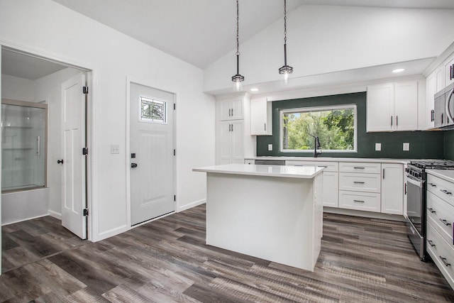 103 W Pearl St, Marshall, MI 49068 - kitchen with stainless steel appliances, lofted ceiling, a sink, light countertops, and plenty of natural light