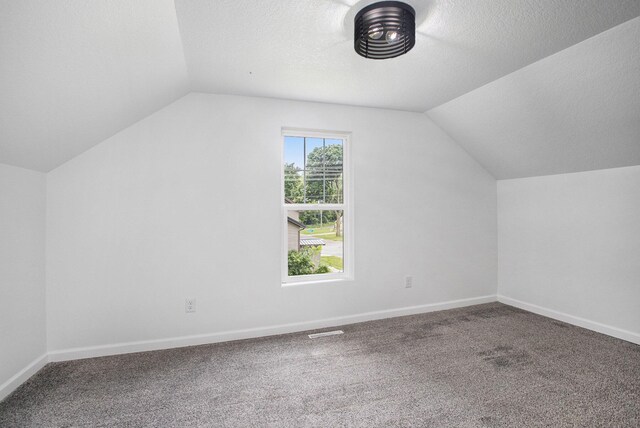 103 W Pearl St, Marshall, MI 49068 - additional living space featuring lofted ceiling, carpet flooring, baseboards, and a textured ceiling