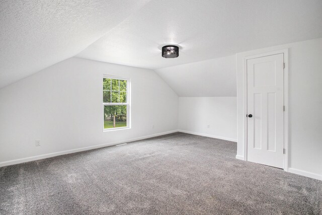 103 W Pearl St, Marshall, MI 49068 - bonus room with carpet floors, vaulted ceiling, baseboards, and a textured ceiling