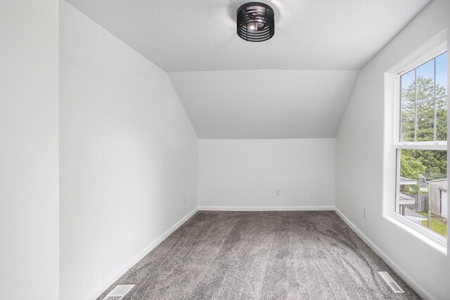 103 W Pearl St, Marshall, MI 49068 - bonus room with carpet, vaulted ceiling, and baseboards