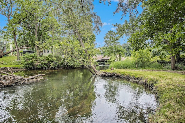 103 W Pearl St, Marshall, MI 49068 - water view