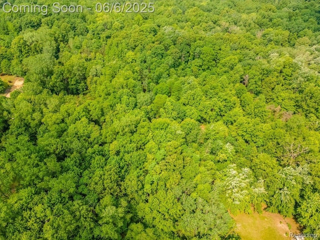 22850 Sumpter Rd, Belleville, MI 48111 - bird's eye view of a heavily wooded area
