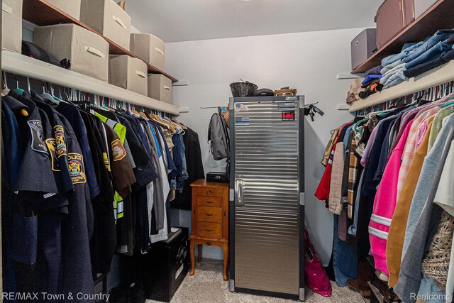 813 Birchwood Dr, Flushing, MI 48433 - spacious closet featuring carpet floors