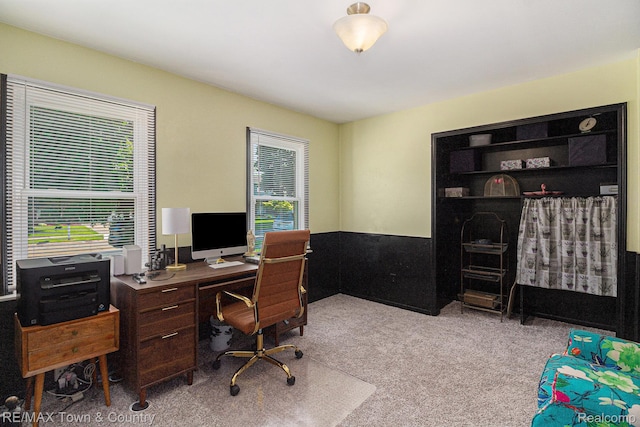 813 Birchwood Dr, Flushing, MI 48433 - office space with healthy amount of natural light and carpet flooring