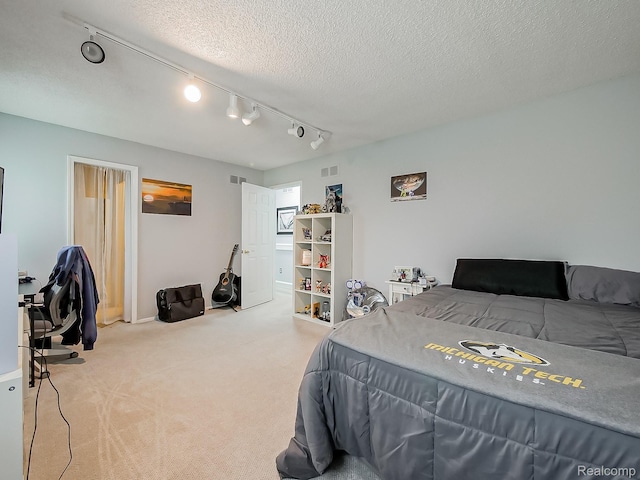 1725 Windingway Dr, Wixom, MI 48393 - bedroom with track lighting, carpet, and a textured ceiling